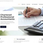 Bajwa CPA chartered accountants web design thumbnail